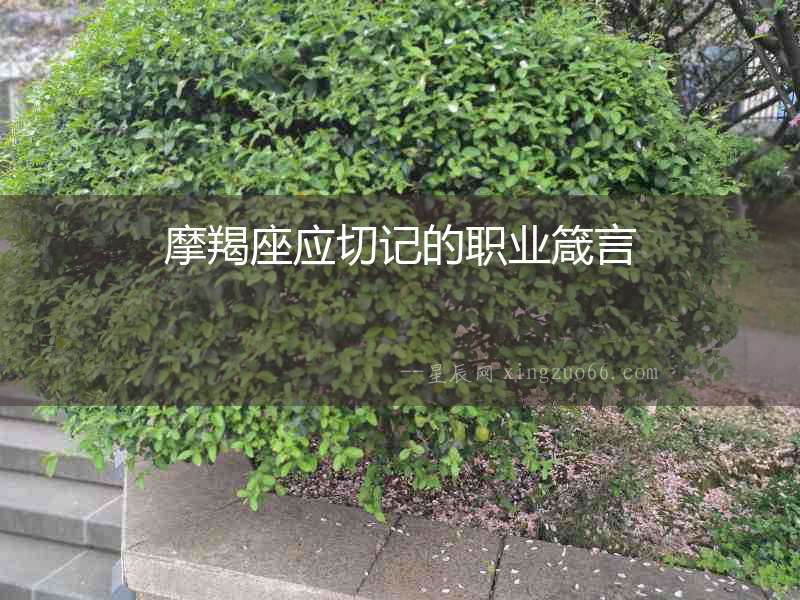 摩羯座應(yīng)切記的職業(yè)箴言