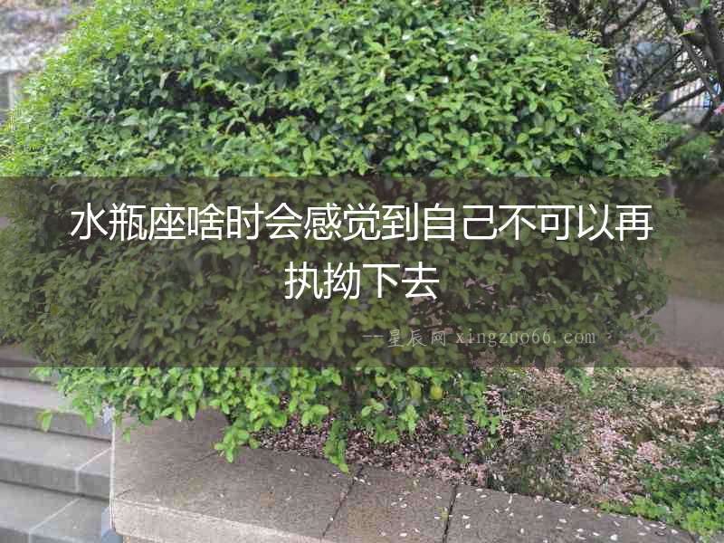 水瓶座啥時會感覺到自己不可以再執拗下去