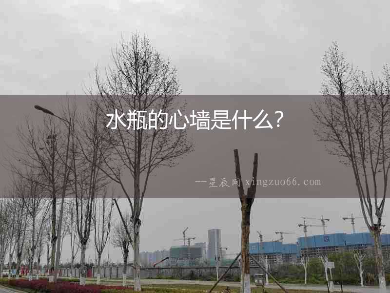 水瓶的心墻是什么？