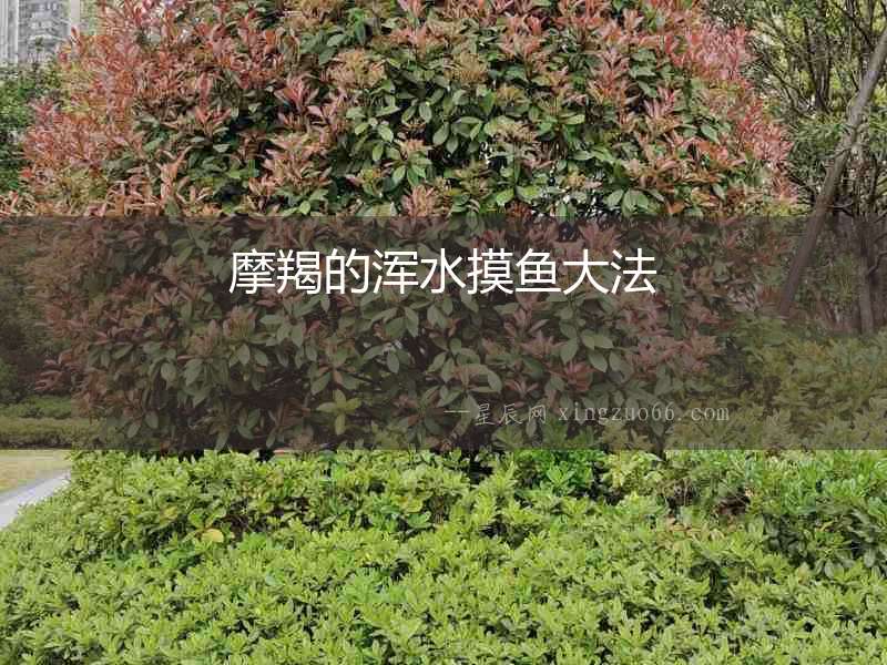 摩羯的渾水摸魚大法