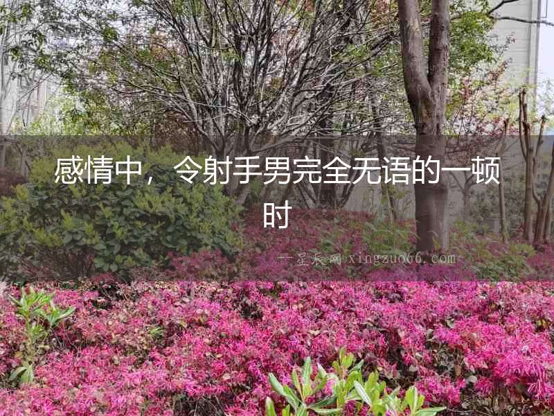 感情中，令射手男完全無(wú)語(yǔ)的一頓時(shí)