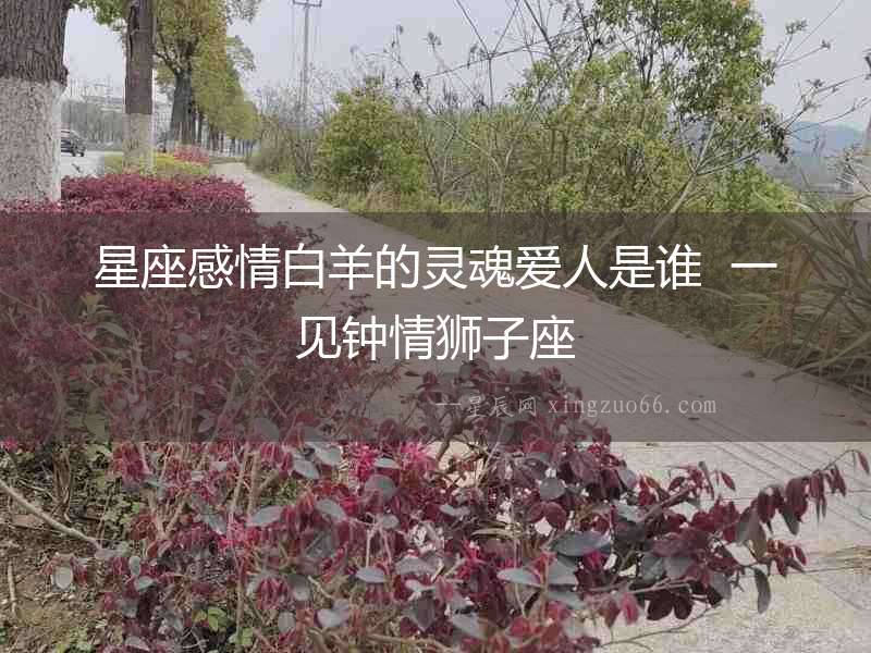 星座感情白羊的靈魂愛人是誰  一見鐘情獅子座