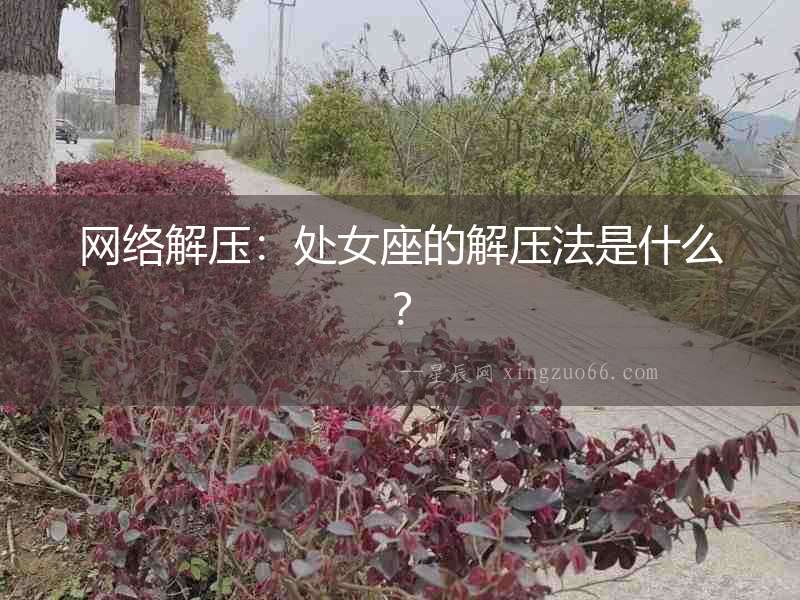 網絡解壓：處女座的解壓法是什么？