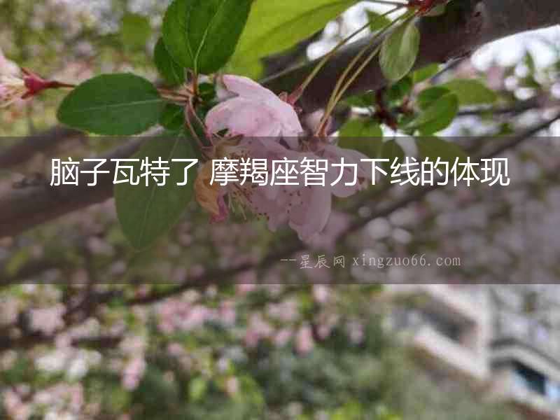 腦子瓦特了 摩羯座智力下線的體現