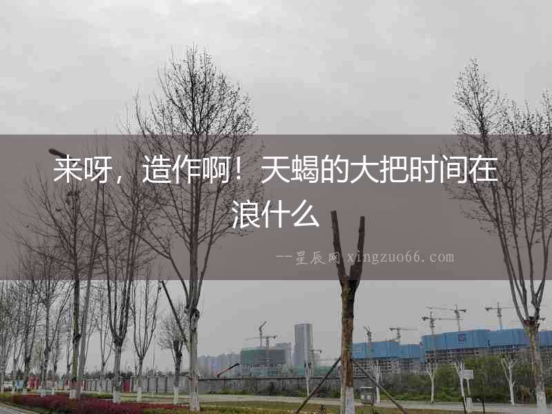 來呀，造作啊！天蝎的大把時間在浪什么