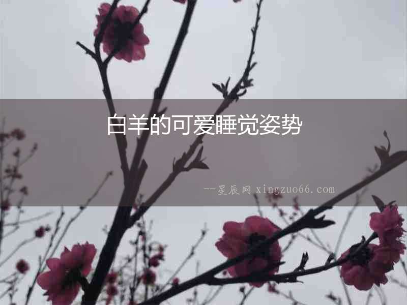 白羊的可愛睡覺姿勢