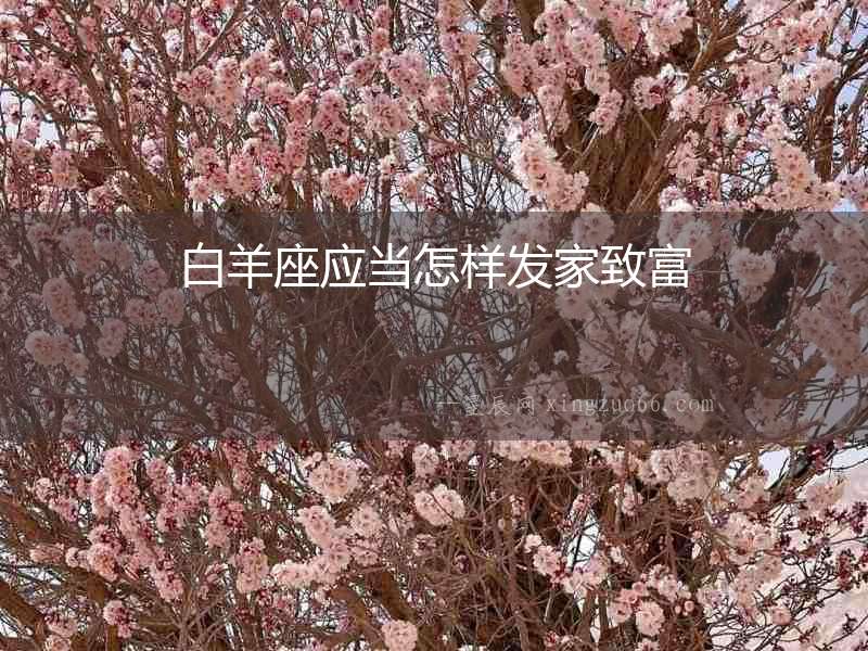 白羊座應(yīng)當(dāng)怎樣發(fā)家致富