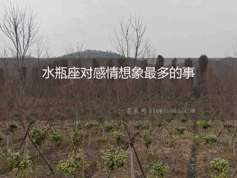 水瓶座對(duì)感情想象最多的事