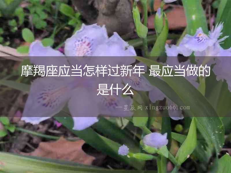 摩羯座應當怎樣過新年 最應當做的是什么