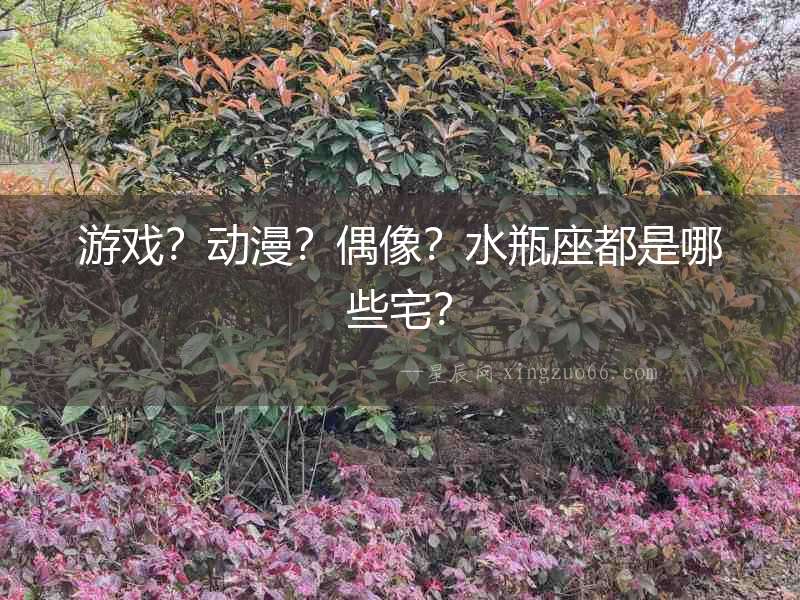 游戲？動漫？偶像？水瓶座都是哪些宅？