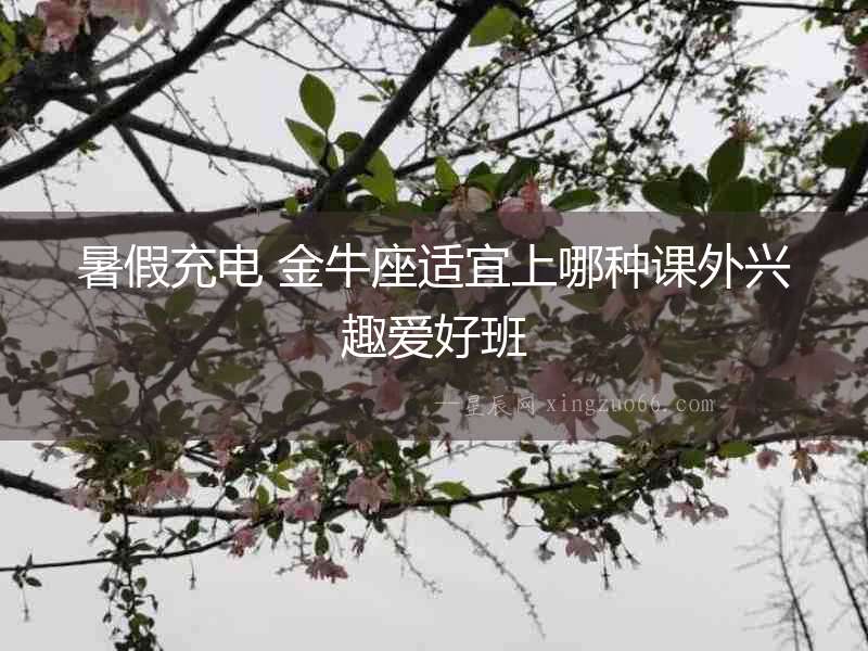 暑假充電 金牛座適宜上哪種課外興趣愛好班