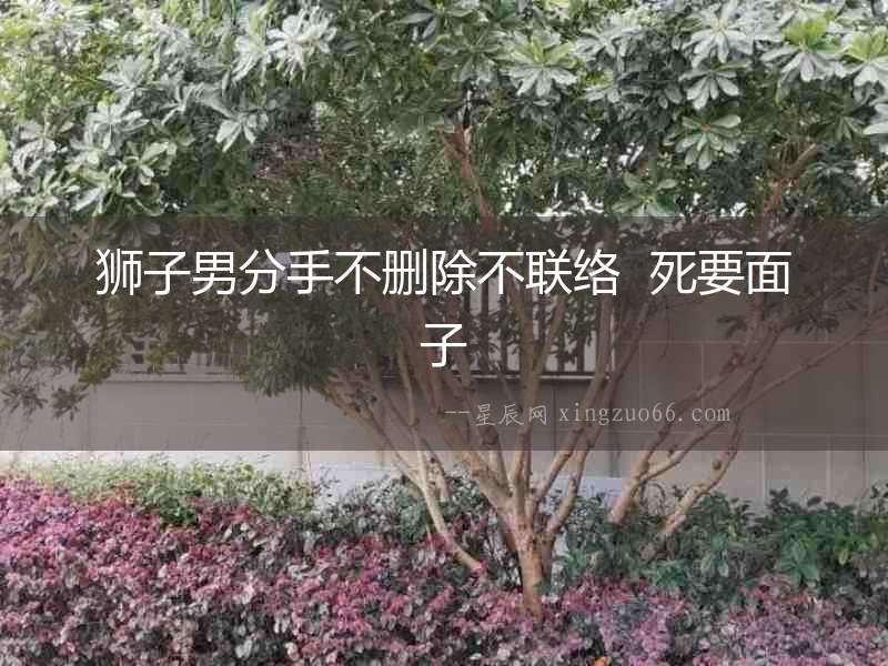 獅子男分手不刪除不聯絡  死要面子