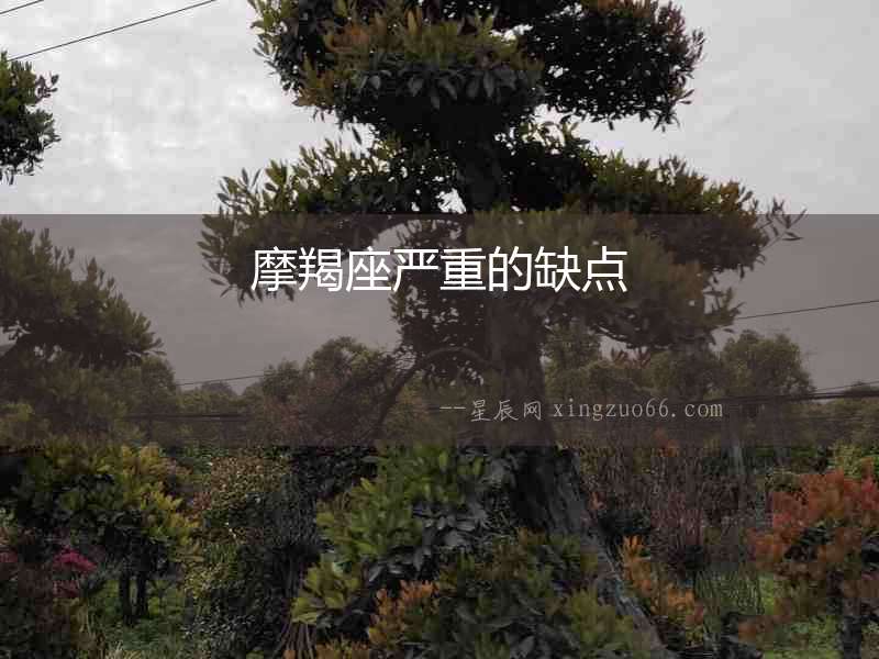 摩羯座嚴重的缺點