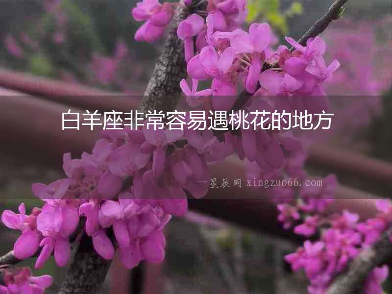 白羊座非常容易遇桃花的地方