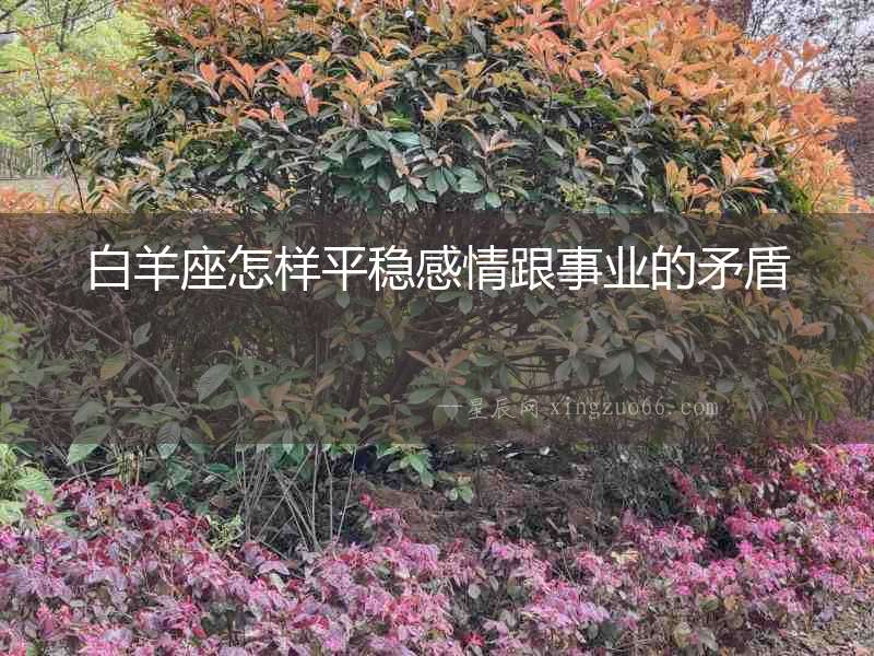 白羊座怎樣平穩感情跟事業的矛盾