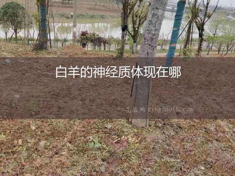 白羊的神經(jīng)質(zhì)體現(xiàn)在哪