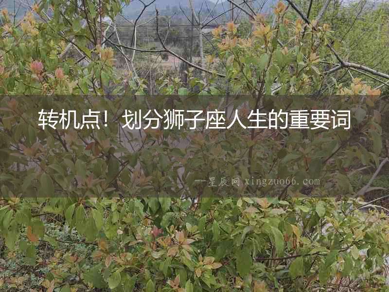 轉(zhuǎn)機(jī)點(diǎn)！劃分獅子座人生的重要詞
