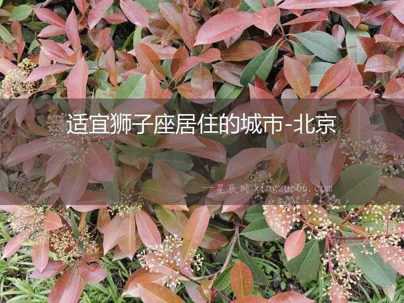 適宜獅子座居住的城市-北京