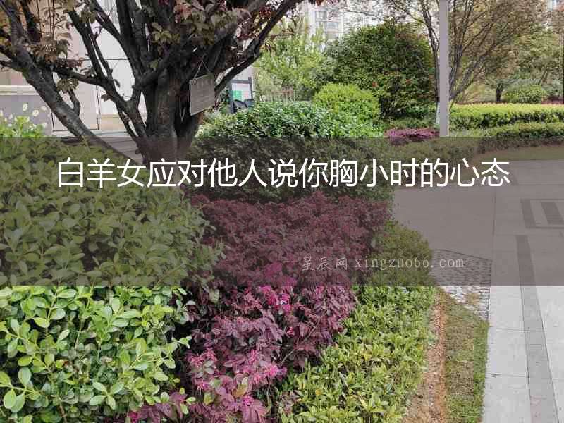 白羊女應(yīng)對(duì)他人說你胸小時(shí)的心態(tài)