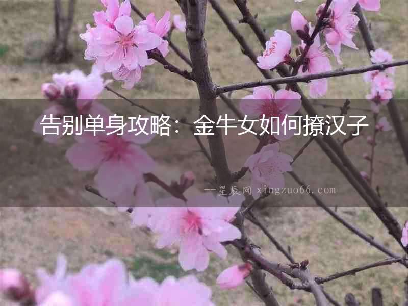 告別單身攻略：金牛女如何撩漢子