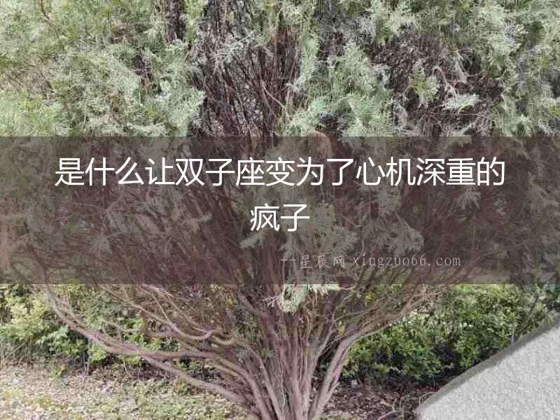 是什么讓雙子座變為了心機深重的瘋子