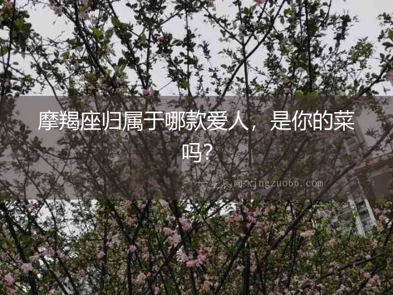 摩羯座歸屬于哪款愛人，是你的菜嗎？