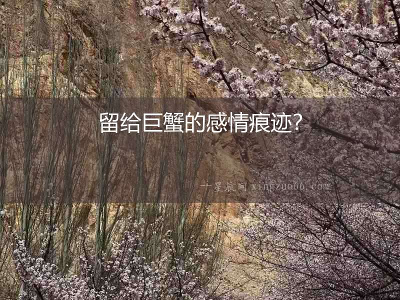 留給巨蟹的感情痕跡？