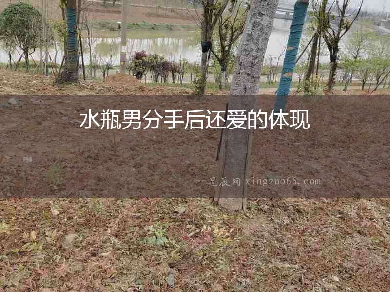 水瓶男分手后還愛的體現(xiàn)