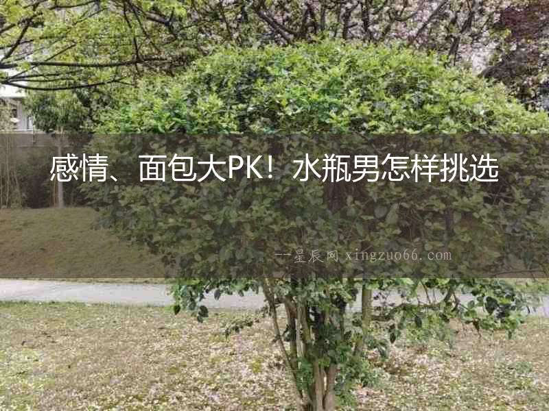 感情、面包大PK！水瓶男怎樣挑選