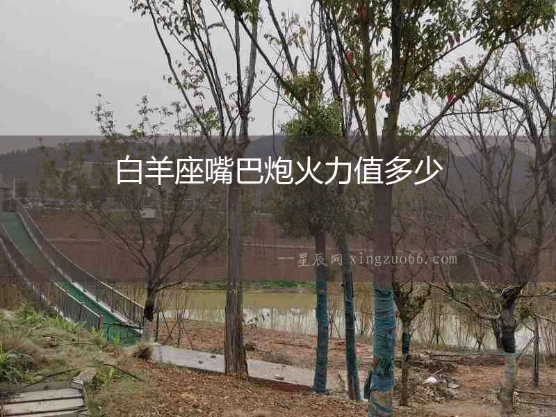 白羊座嘴巴炮火力值多少