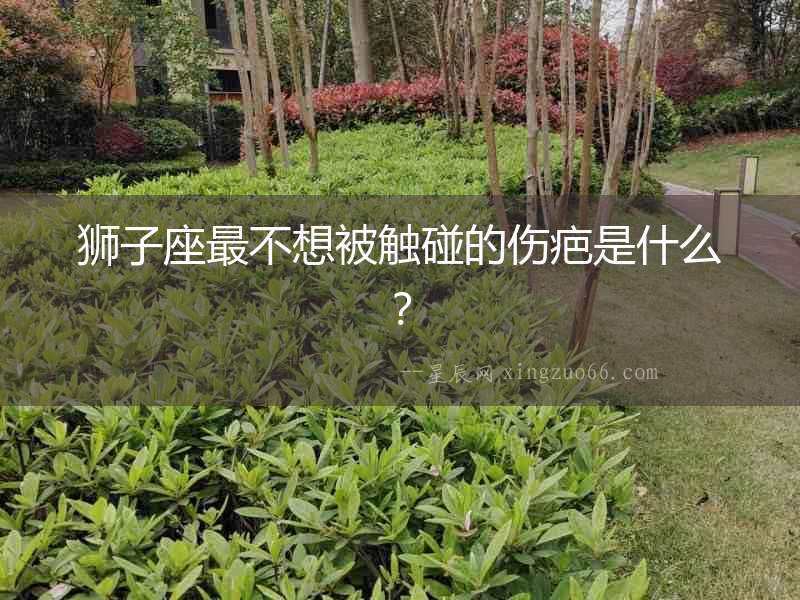 獅子座最不想被觸碰的傷疤是什么？