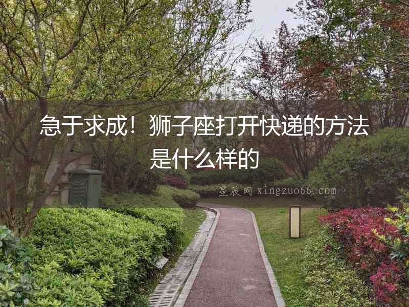 急于求成！獅子座打開快遞的方法是什么樣的