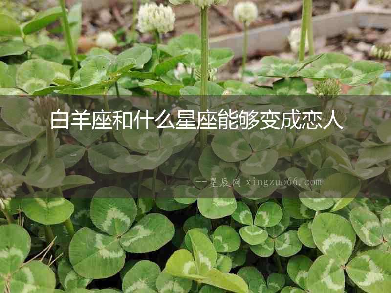 白羊座和什么星座能夠變成戀人