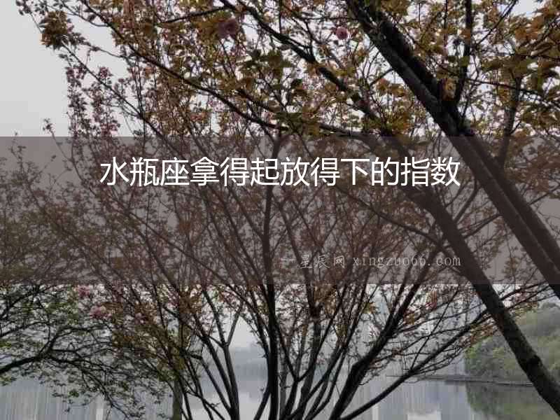 水瓶座拿得起放得下的指數(shù)