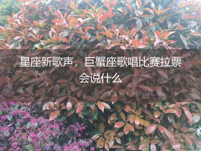 星座新歌聲，巨蟹座歌唱比賽拉票會說什么