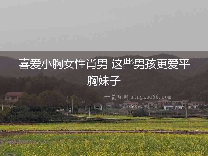 喜愛小胸女性肖男 這些男孩更愛平胸妹子