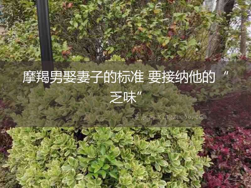 摩羯男娶妻子的標(biāo)準(zhǔn) 要接納他的“乏味”