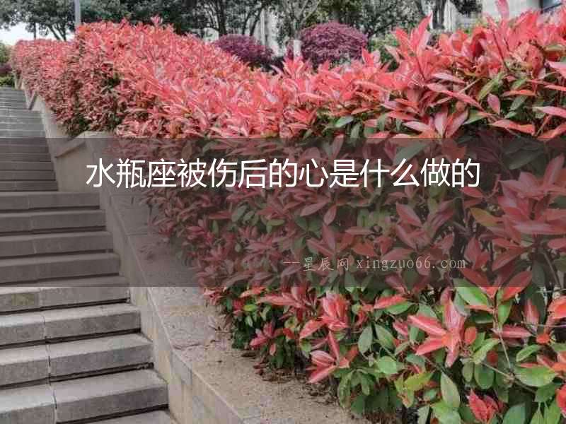 水瓶座被傷后的心是什么做的