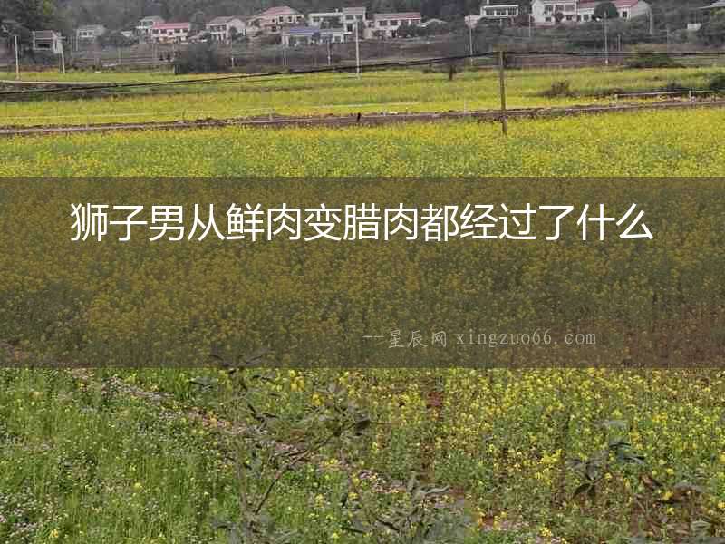 獅子男從鮮肉變臘肉都經(jīng)過了什么