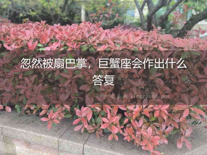 忽然被扇巴掌，巨蟹座會作出什么答復