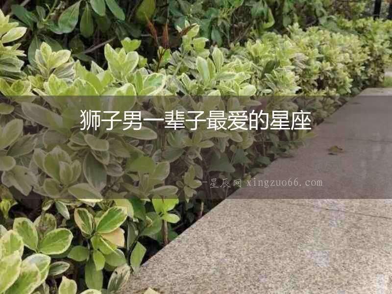 獅子男一輩子最愛的星座