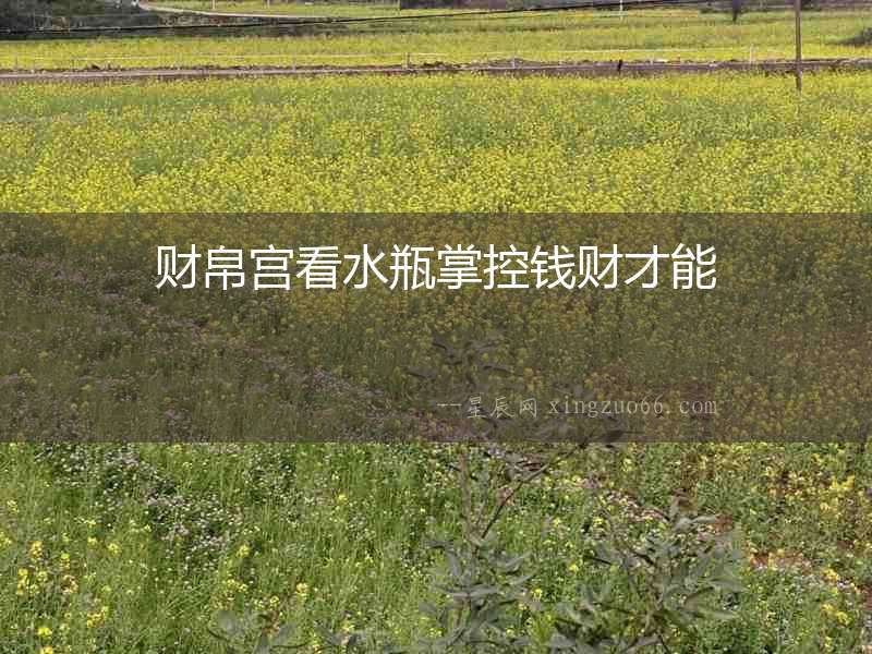 財帛宮看水瓶掌控錢財才能