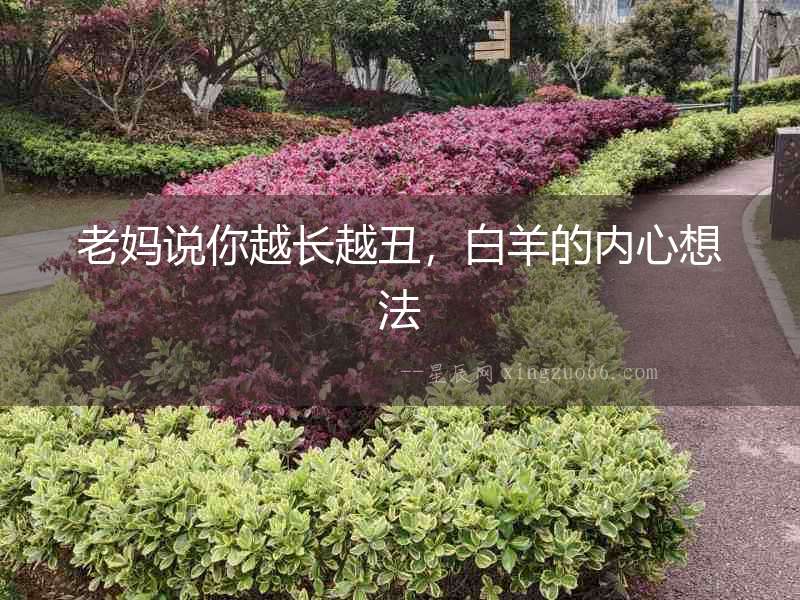 老媽說你越長越丑，白羊的內(nèi)心想法