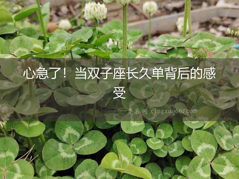 心急了！當雙子座長久單背后的感受
