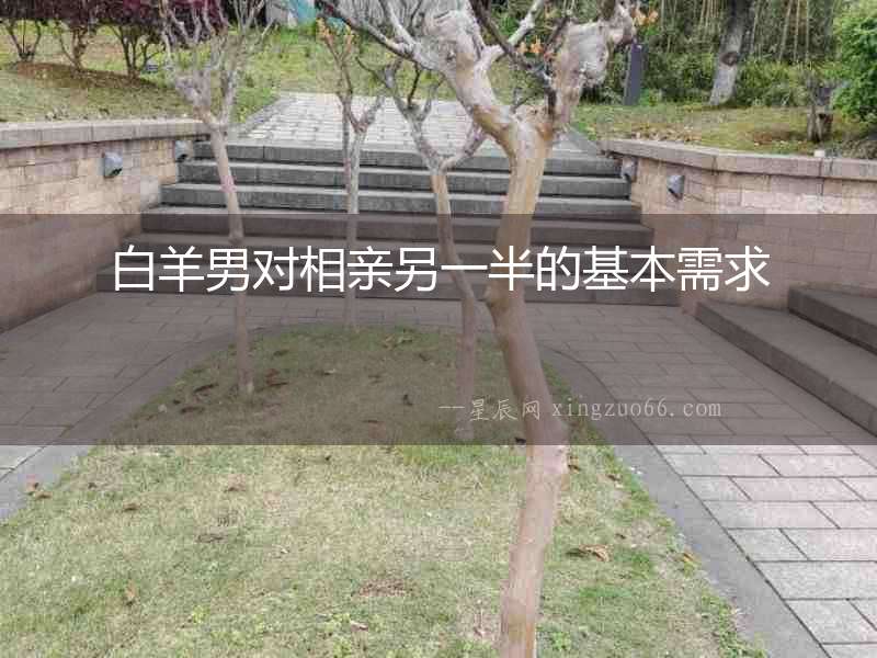 白羊男對相親另一半的基本需求