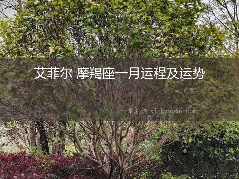 艾菲爾 摩羯座一月運程及運勢