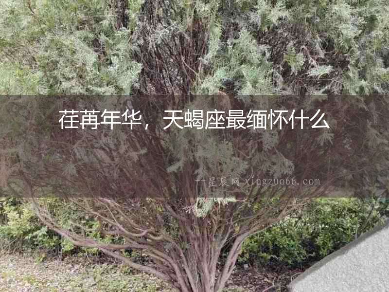 荏苒年華，天蝎座最緬懷什么