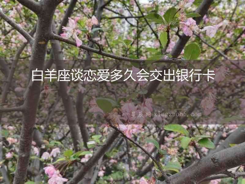 白羊座談戀愛多久會交出銀行卡