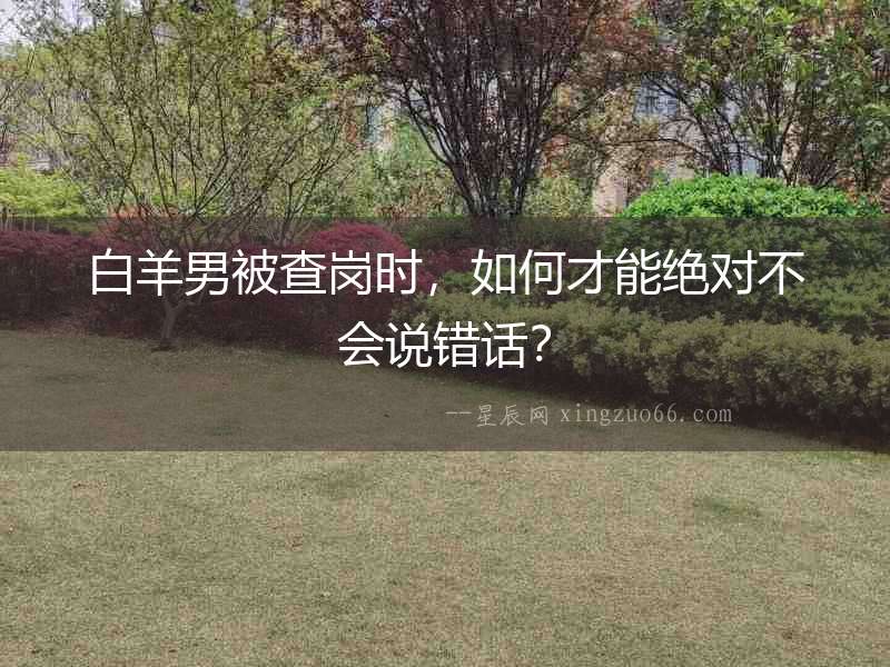白羊男被查崗時，如何才能絕對不會說錯話？