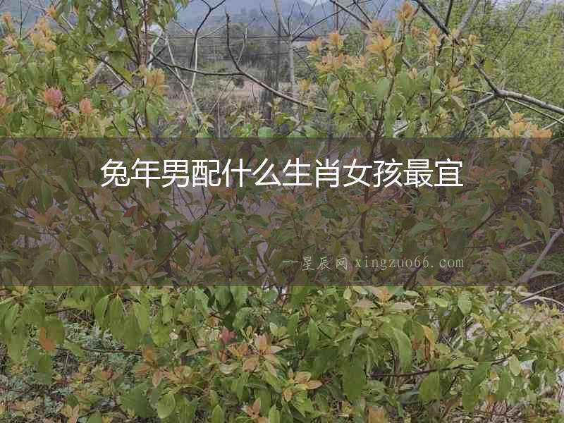 兔年男配什么生肖女孩最宜
